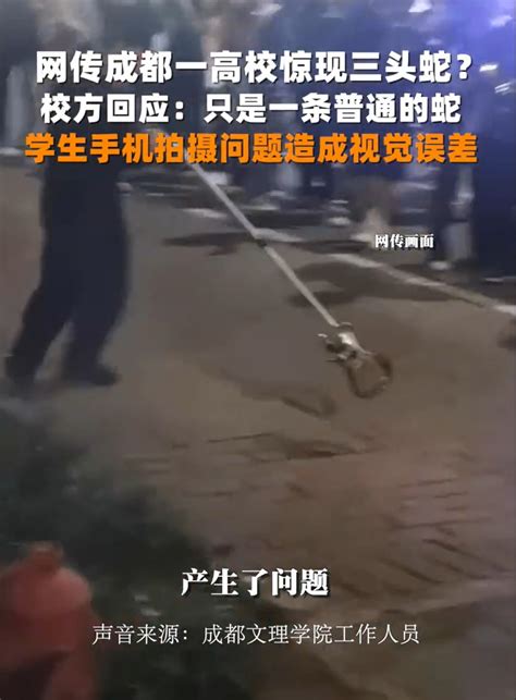 一直遇到蛇|与蛇“狭路相逢”如何才能全身而退？走为上策